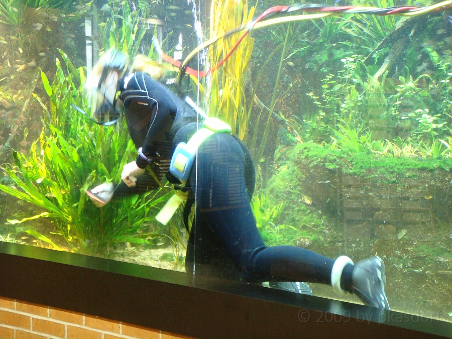 Baltimore [2009 July 02] 069.JPG - Scenes from Baltimore's Inner Harbor.